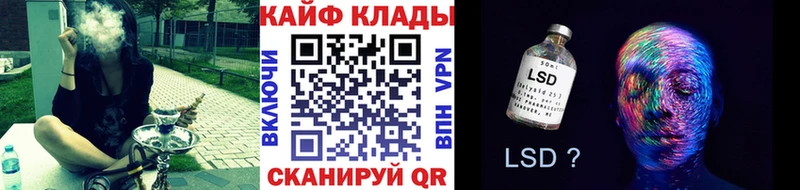 Где купить наркотики Шахунья ГАШИШ  Кокаин  Меф  Конопля 