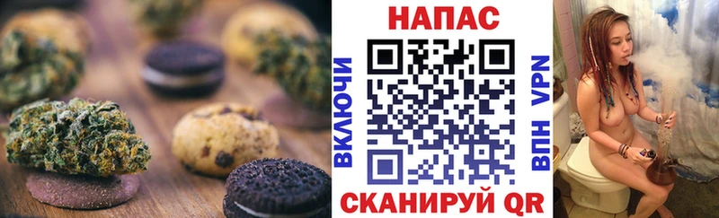 где продают наркотики  Шахунья  Еда ТГК марихуана 
