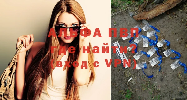 индика Абинск