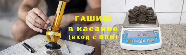 гашик Алексин