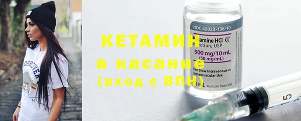 гашик Алексин