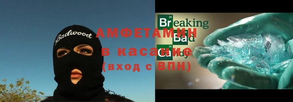 гашик Алексин