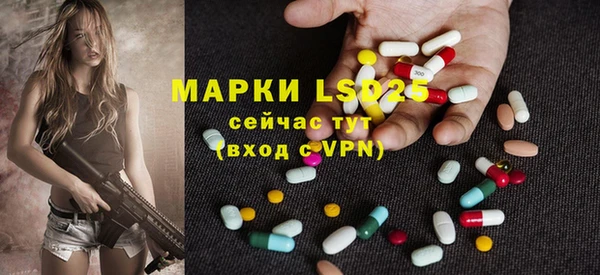 индика Абинск