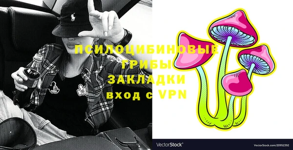 индика Абинск