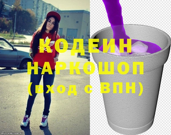 индика Абинск