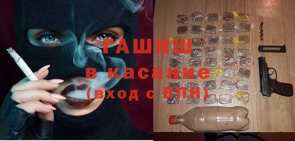 гидра Снежногорск