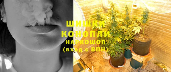 амф Снежинск