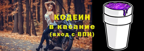 индика Абинск